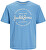 Tricou pentru bărbați JJFOREST Standard Fit 12247972 Pacific Coast