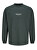 T-shirt uomo JORVESTERBRO Loose Fit 12251775 Forest River