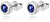 Orecchini teneri in argento a bottone con zirconi blu AGUP2259-BLUE