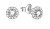 Trblietavé strieborné náušnice so zirkónmi AGUP2351L-W