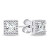 Splendidi orecchini in argento con zirconi trasparenti EA613W