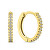 Vergoldete runde Ohrringe mit Zirkonen EA561Y