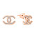 Splendidi orecchini placcati in oro rosa con zirconi World Icon EA1020R