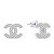 Csillogó ezüst fülbevaló átlátszó cirkónium kövekkel World Icon EA1016W