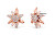 Schicke Bronzeohrringe Edelweiss mit Kristallen 4150.RG