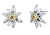 Orecchini eleganti Stella alpina con cristalli 4150.R