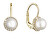 Luxuriöse Gelbgold-Ohrringe mit echten Perlen 91P00020