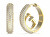 Cercei rotunzi placați cu aur cu zirconi Crazy Earrings JUBE03299JWYGT/U