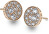 Stříbrné náušnice Hot Diamonds Emozioni Scintilla Rose Gold DE457