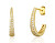 Stilvolle vergoldete runde Ohrringe mit Zirkonen SVLE1810XH2GO00