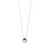 Stylový stříbrný náhrdelník Apricus 61290 RED (řetízek, přívěsek)