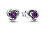 Eleganti orecchini in argento con zirconi viola 292334C02