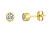 Cercei placați cu aur cu zircon Avignon 5375Y00