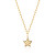 Vergoldete Halskette Stern mit Kristallen Stellar SSE06
