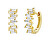 Stříbrné/pozlacené náušnice kruhy Bernie s Brilliance Zirconia DCC1541EWGP