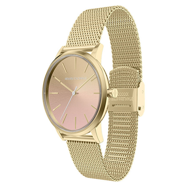 Lola AX5619