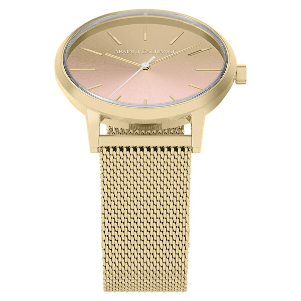 Lola AX5619