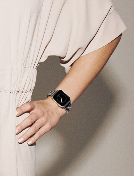 Ocelový tah pro Apple Watch 38/40/41 mm - Silver WK/1018SVSV