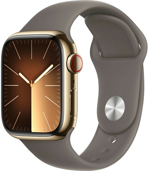 Apple Watch Series 9 Cellular 45mm Zlatá ocel s jílově šedým sportovním řemínkem - S/M