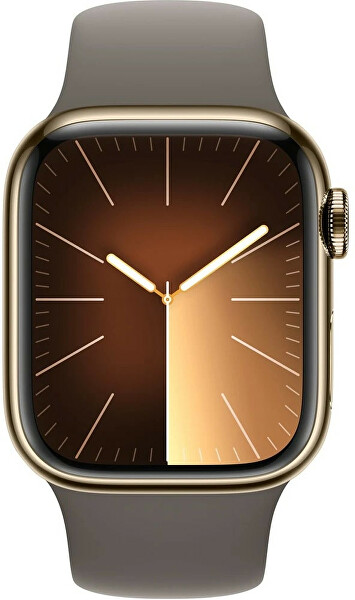 Apple Watch Series 9 Cellular 45mm Zlatá ocel s jílově šedým sportovním řemínkem - S/M