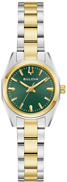 Surveyor 98L329