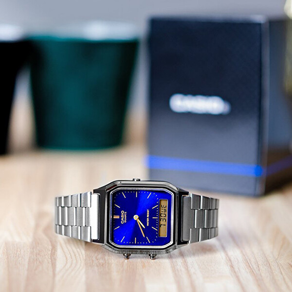 Collection Vintage AQ-230EGG-2AEF (001)