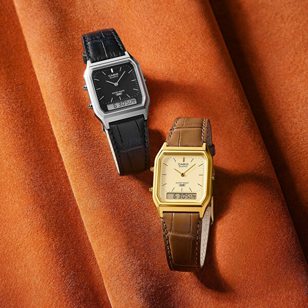 Collection Vintage AQ-230EGL-9AEF (001)