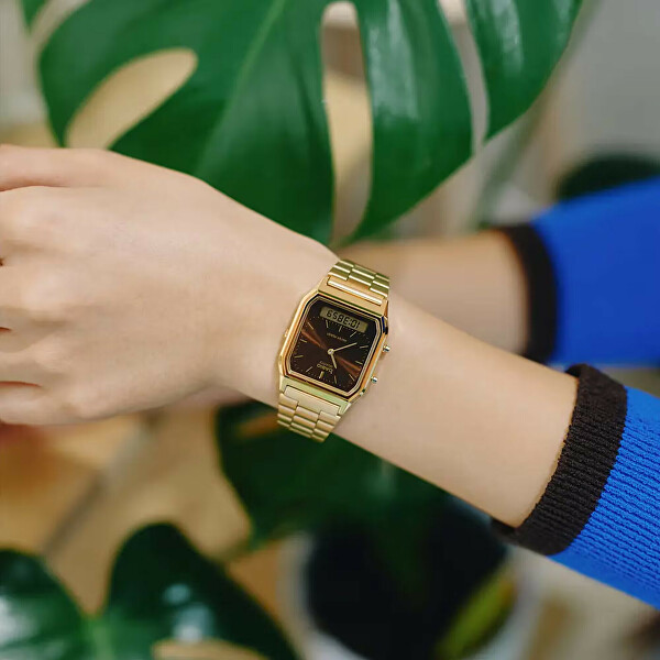 Collection Vintage AQ-230GA-5AMQYES (001)