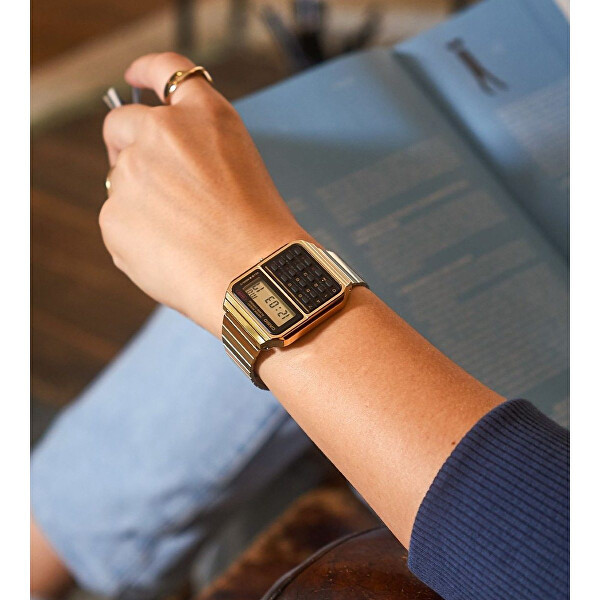 Collection Vintage CA-500WEG-1AEF (059)