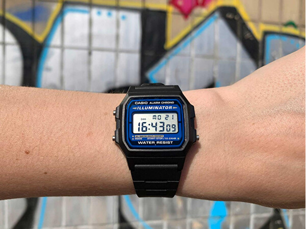 Collection Vintage F-105W-1AWYEF (022)