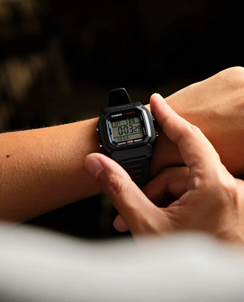 Collection W-800H-1AVES (254)