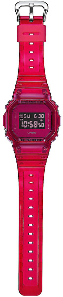 G-Shock DW-5600SB-4ER (322)