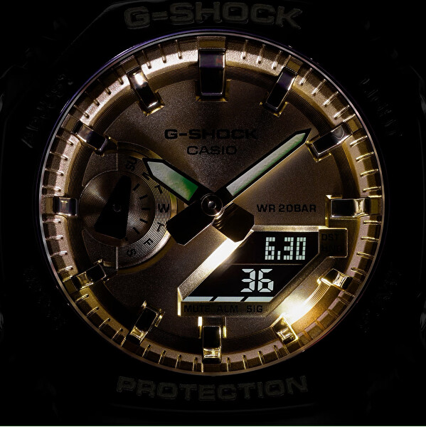 G-SHOCK GA-2100GB-1AER (619)