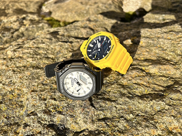 G-Shock Original Carbon Core Guard GA-2100WD-1AER (619)