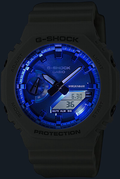 G-Shock Classic GA-2100WS-7AER (619)