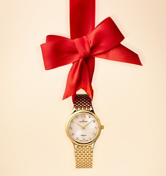 Lady Elegance C4791/1