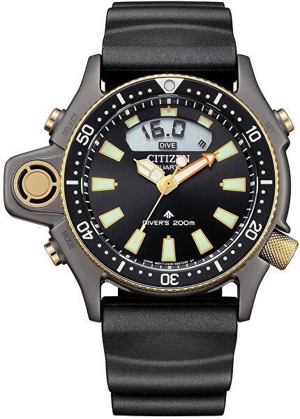 Promaster Aqualand Divers JP2008-06E