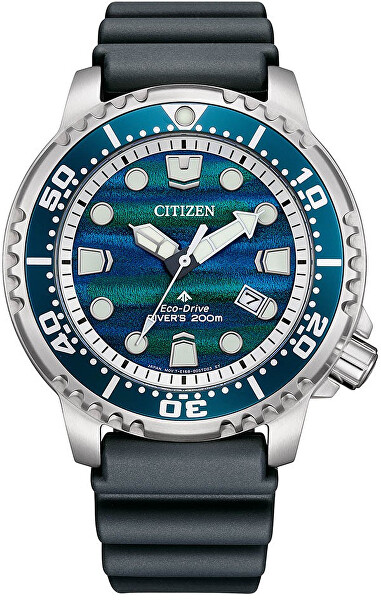 Limited edition Promaster BN0167-09W