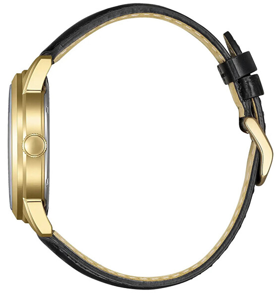 Eco-Drive Elegant AW0153-04AC