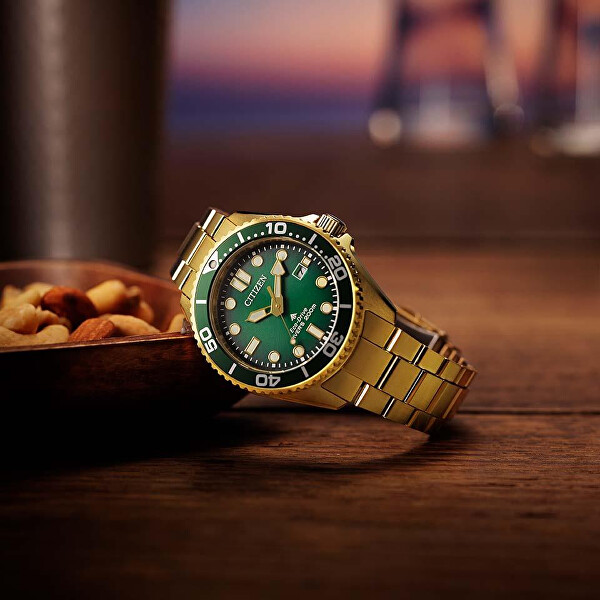 Eco-Drive Promaster Marine BN0262-59W