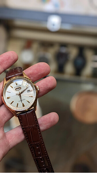 Elegant Automatic NH8393-05AE