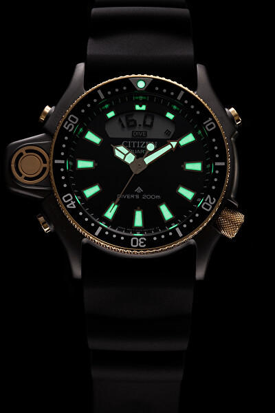 Promaster Aqualand Divers JP2008-06E