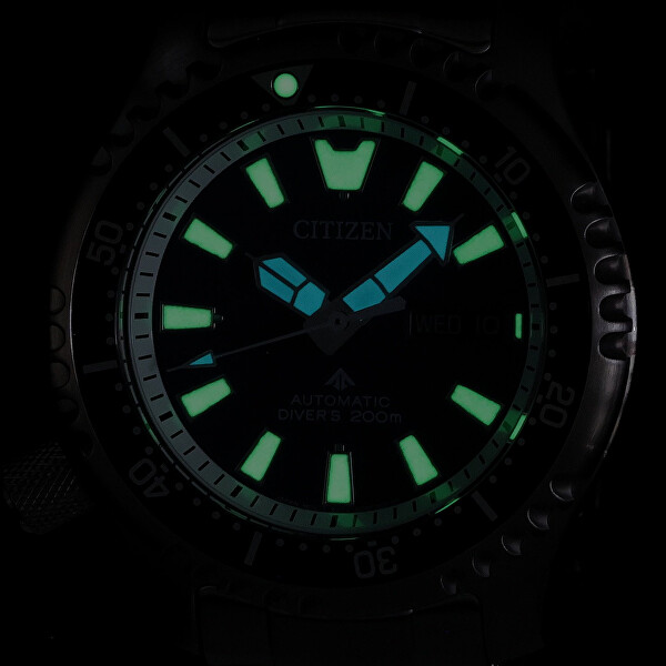 Promaster Automatic Limited Edition SET NY0161-63LE