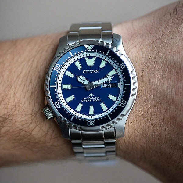 Promaster Automatic Limited Edition SET NY0161-63LE