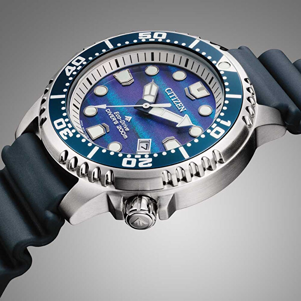 Limited edition Promaster BN0167-09W
