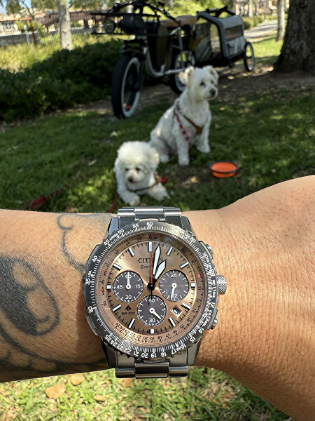 Promaster Eco-Drive Radio Controlled CA4664-60X