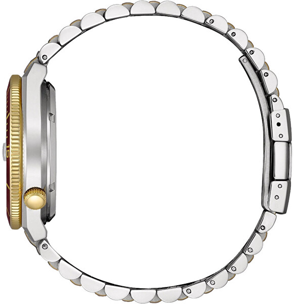 Sports Tsuyosa Shore Automatic NJ0234-58X