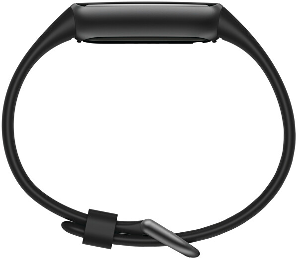 Fitbit Luxe Black/Graphite Stainless Steel