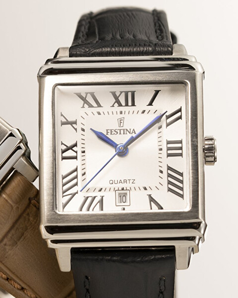 Classic Strap 20682/3