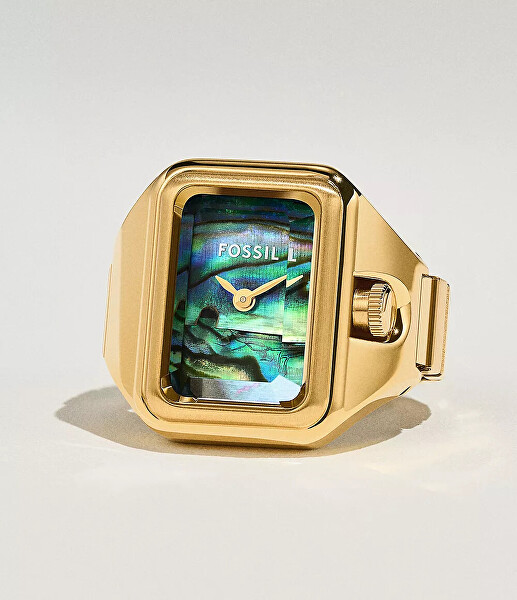 Raquel Watch Ring ES5411